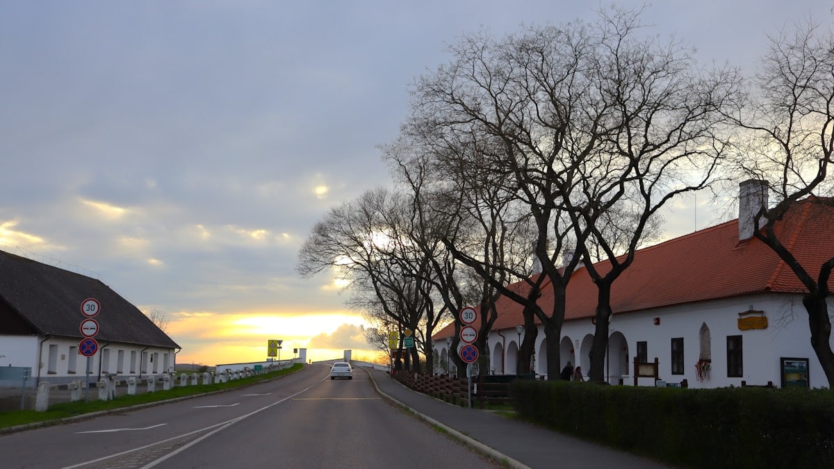 Hortobágy, Hungary (2023 March)